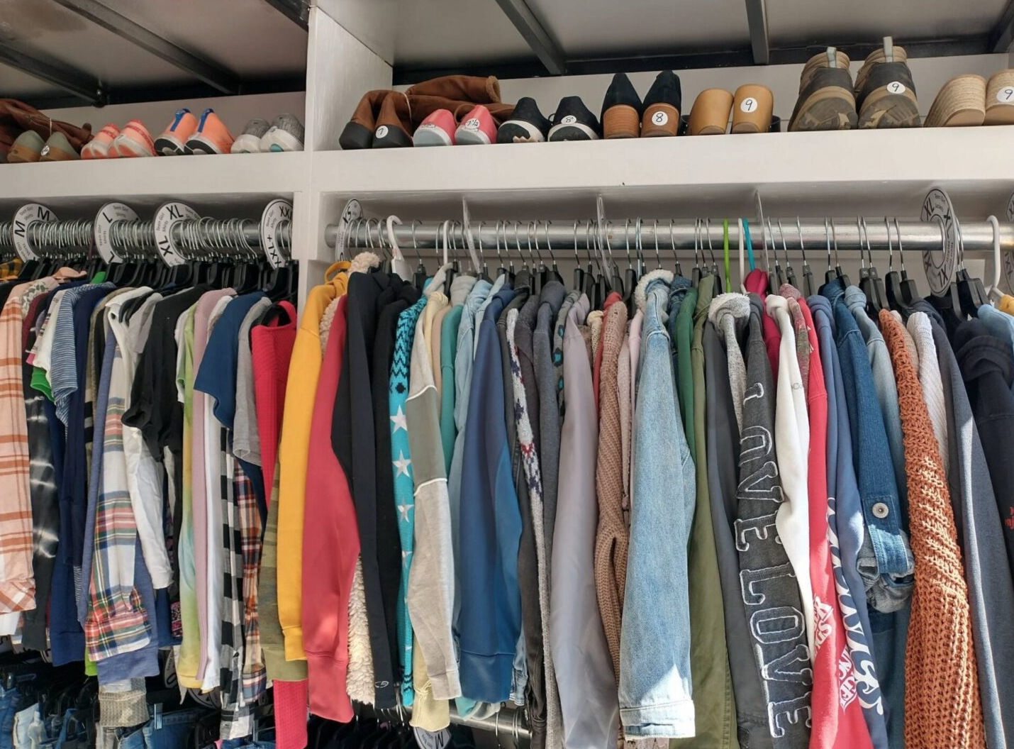 Screen Shot 2023-11-10 at 3.23.27 PM